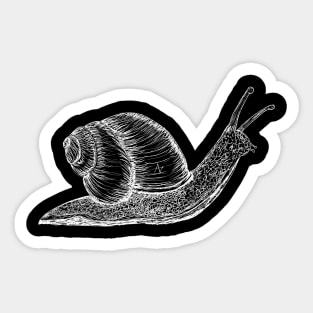 white snail Sticker